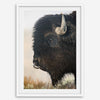 Fine art buffalo print from Yellowstone, showcasing earthy tones and western-inspired composition.