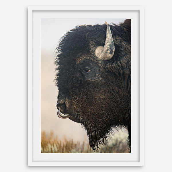 Fine art buffalo print from Yellowstone, showcasing earthy tones and western-inspired composition.