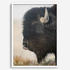 Fine art buffalo print from Yellowstone, showcasing earthy tones and western-inspired composition.