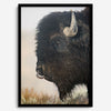 Fine art buffalo print from Yellowstone, showcasing earthy tones and western-inspired composition.