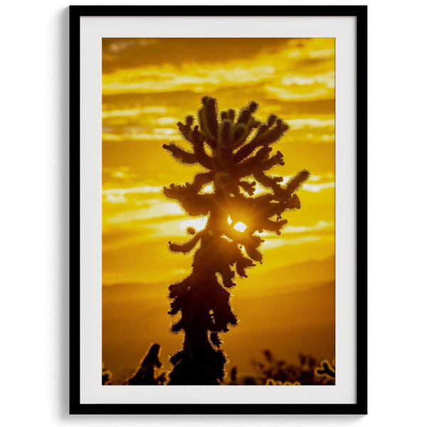 Silhouetted cactus against a vibrant yellow sunset in Joshua Tree National Park, capturing desert beauty.