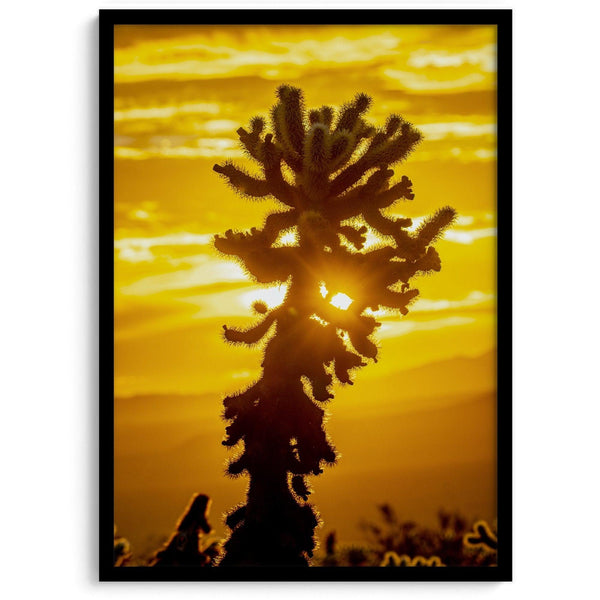 Silhouetted cactus against a vibrant yellow sunset in Joshua Tree National Park, capturing desert beauty.