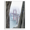 Foggy Golden Gate Bridge framed by cypress trees, San Francisco landscape photography