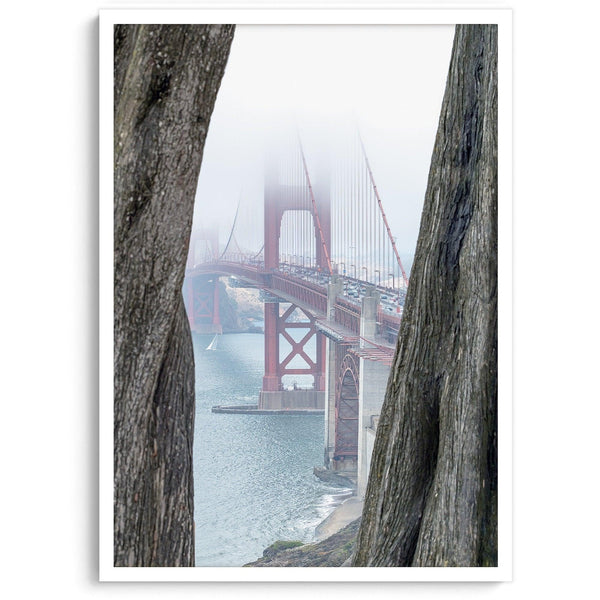 Foggy Golden Gate Bridge framed by cypress trees, San Francisco landscape photography