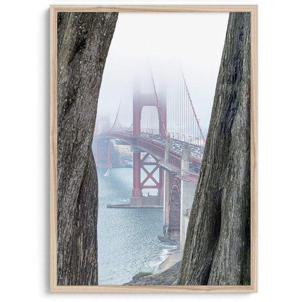 Foggy Golden Gate Bridge framed by cypress trees, San Francisco landscape photography