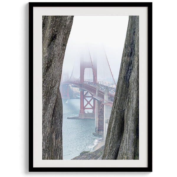 Foggy Golden Gate Bridge framed by cypress trees, San Francisco landscape photography