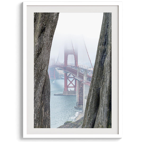 Foggy Golden Gate Bridge framed by cypress trees, San Francisco landscape photography