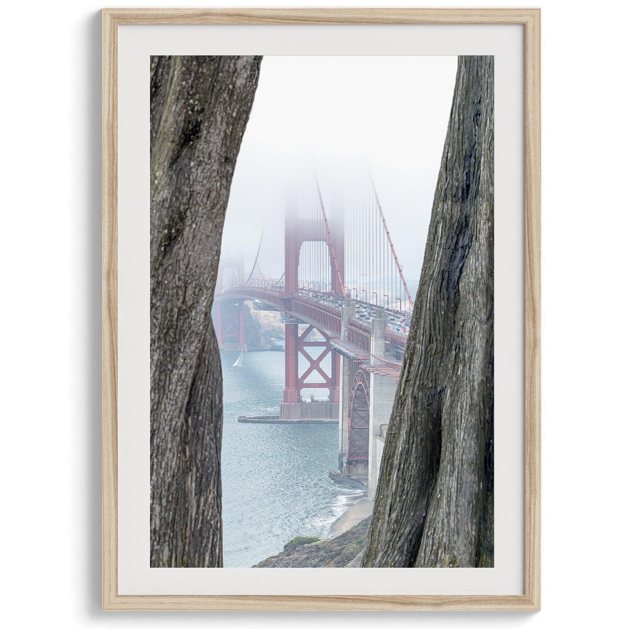 Foggy Golden Gate Bridge framed by cypress trees, San Francisco landscape photography