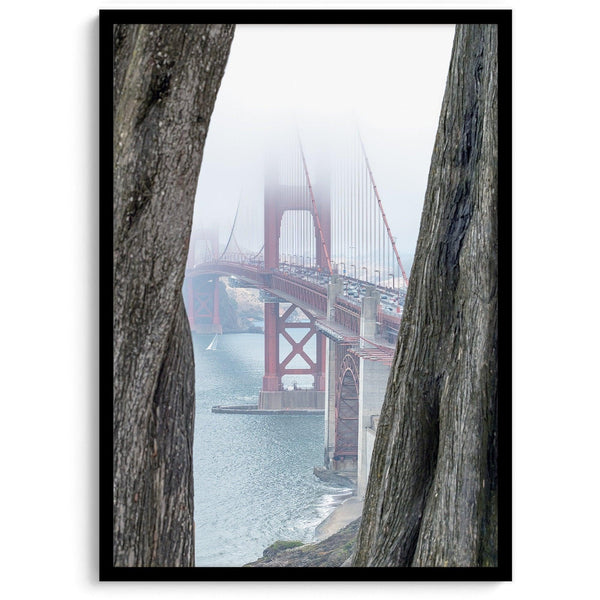 Foggy Golden Gate Bridge framed by cypress trees, San Francisco landscape photography