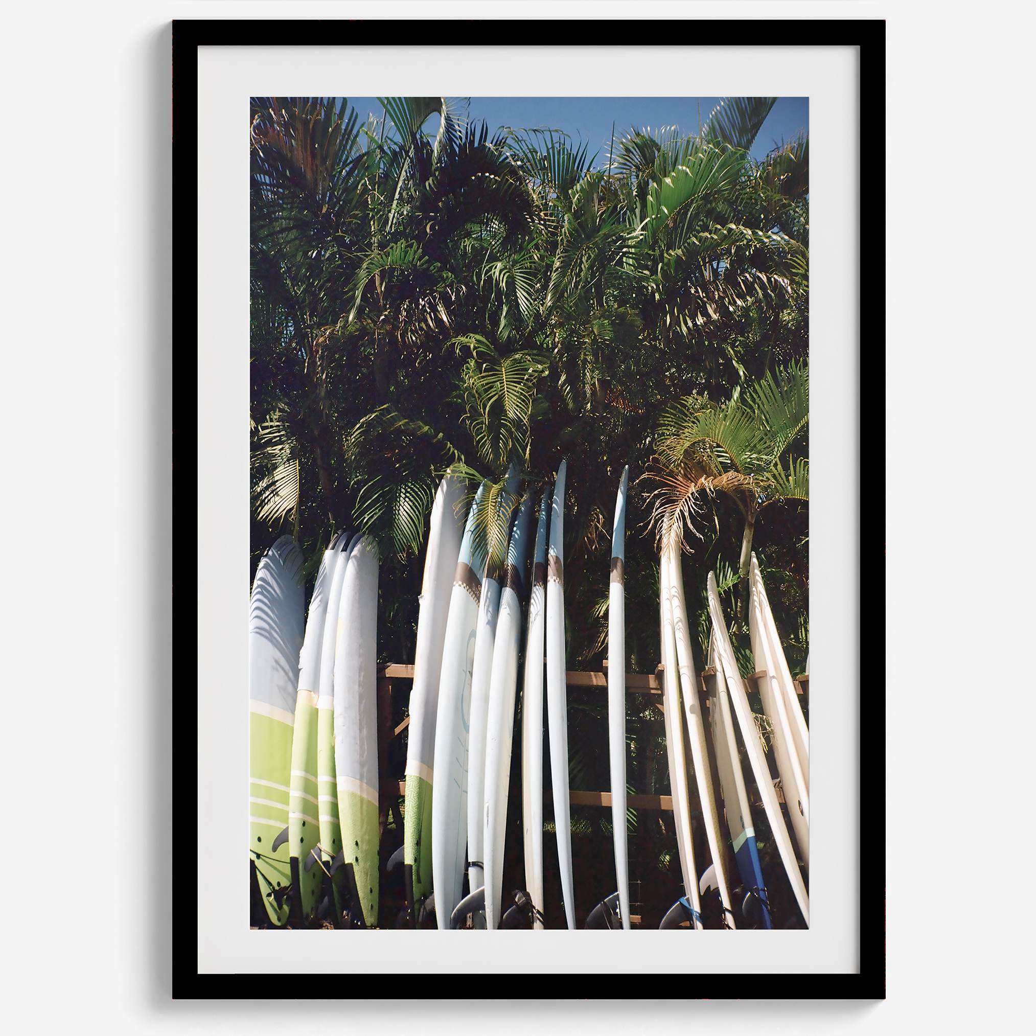 Rows of longboards under palm trees in Hawaii, tropical surfboard wall art photograph.