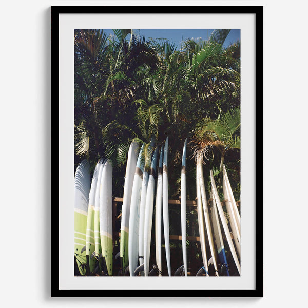Rows of longboards under palm trees in Hawaii, tropical surfboard wall art photograph.