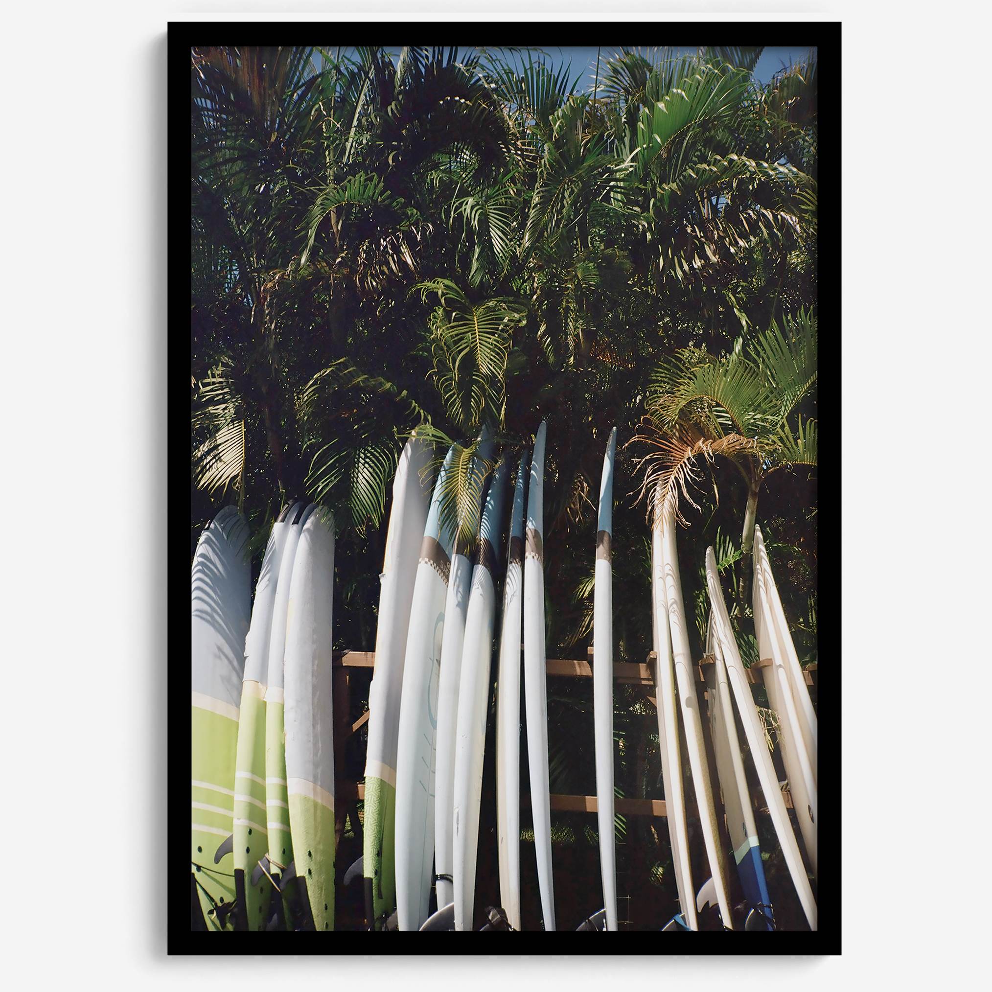 Rows of longboards under palm trees in Hawaii, tropical surfboard wall art photograph.