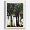 Rows of longboards under palm trees in Hawaii, tropical surfboard wall art photograph.