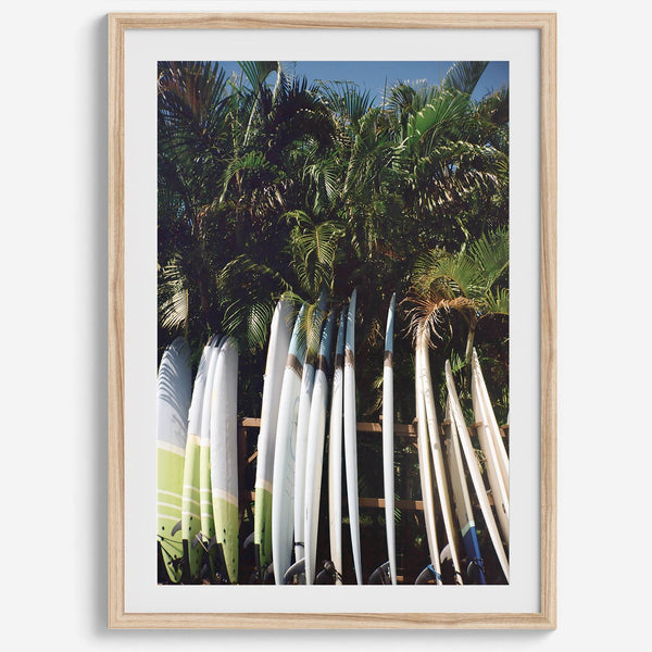 Rows of longboards under palm trees in Hawaii, tropical surfboard wall art photograph.