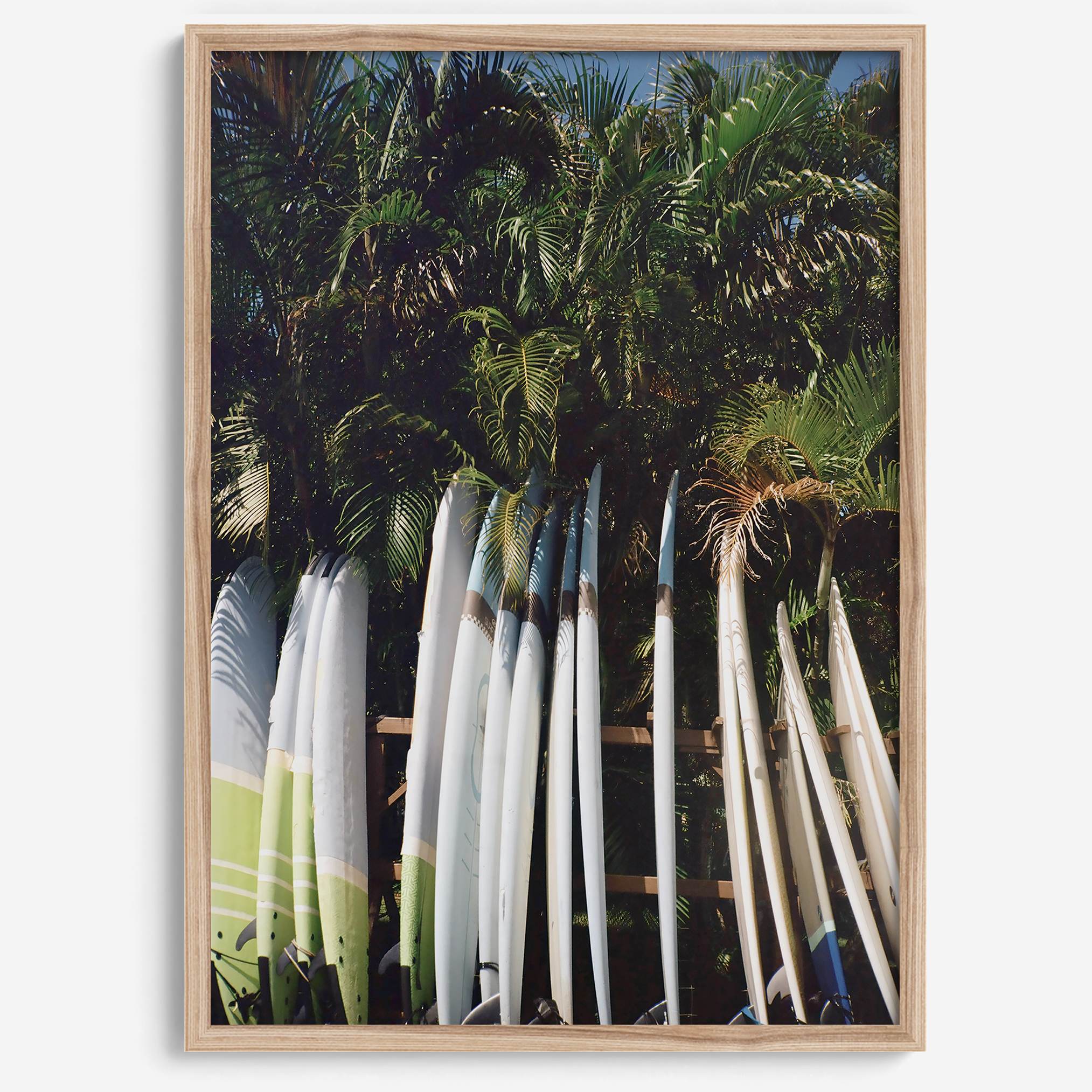 Rows of longboards under palm trees in Hawaii, tropical surfboard wall art photograph.