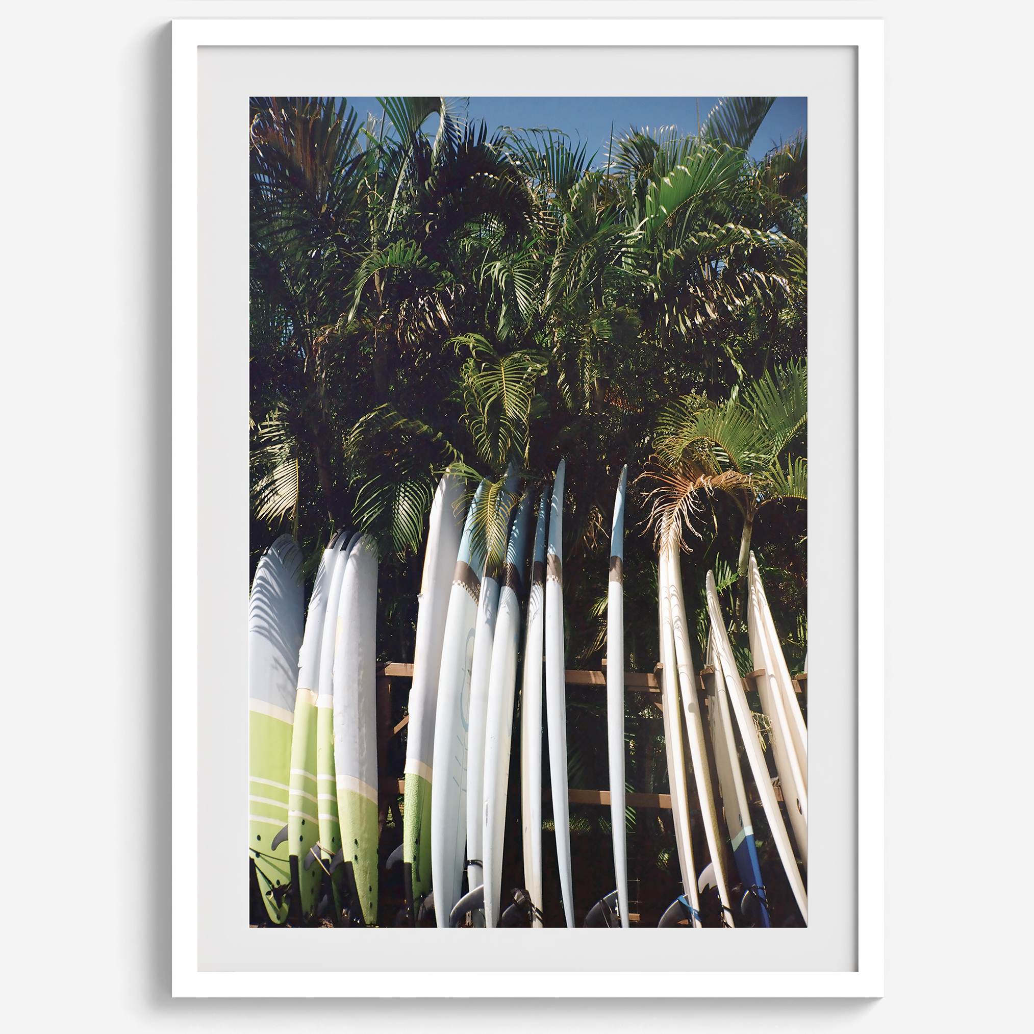 Rows of longboards under palm trees in Hawaii, tropical surfboard wall art photograph.