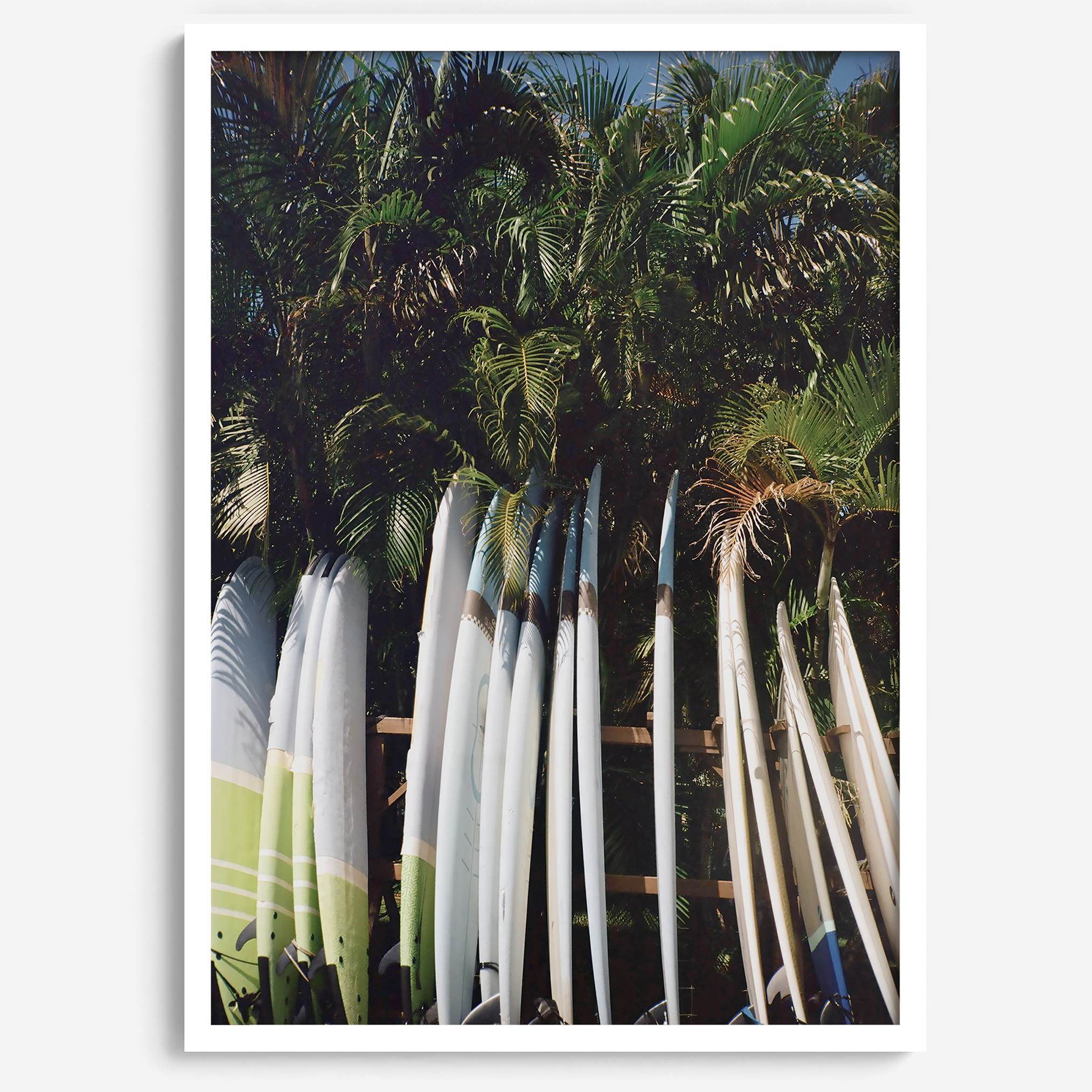 Rows of longboards under palm trees in Hawaii, tropical surfboard wall art photograph.