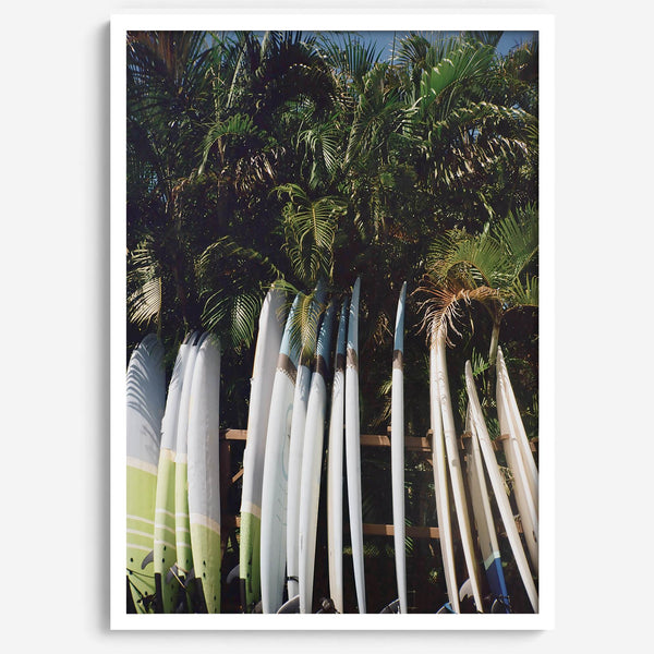 Rows of longboards under palm trees in Hawaii, tropical surfboard wall art photograph.