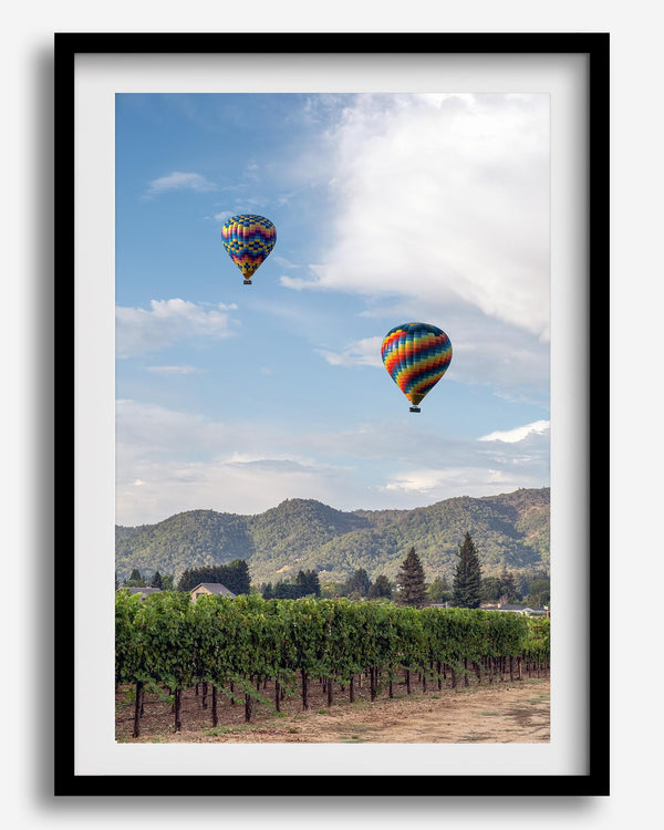 Fine art hot air balloon photography print above Napa Valley vineyards in Yountville.