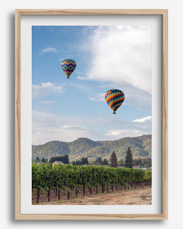 Fine art hot air balloon photography print above Napa Valley vineyards in Yountville.