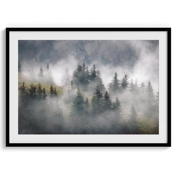Fine art photography of a misty forest in Alaska, with the tops of trees on a mountain shrouded in white dreamlike fog.