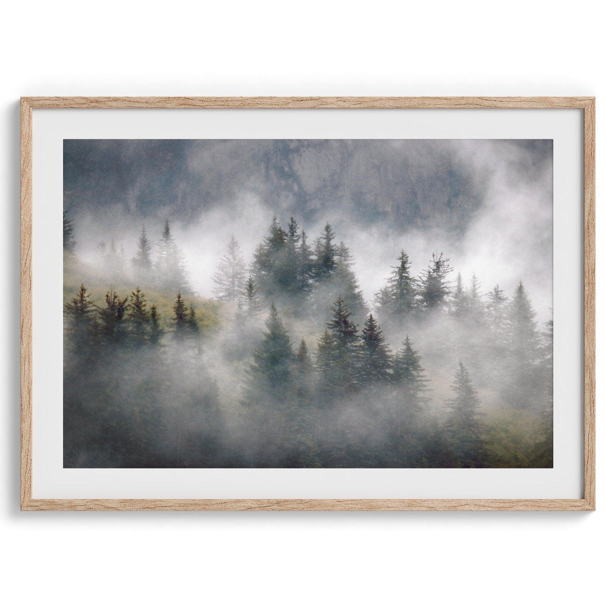 Fine art photography of a misty forest in Alaska, with the tops of trees on a mountain shrouded in white dreamlike fog.