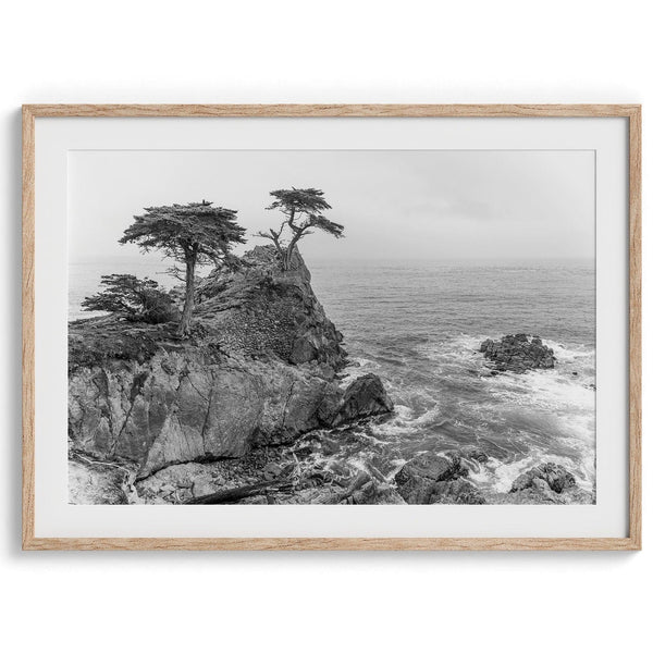 Black and white photo of Lone Cypress on a cliffside along 17-Mile Drive near Monterey, California, with waves crashing against rocks below.