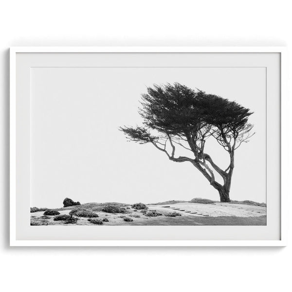 Black and white coastal print: A lone, wind-bent tree stands strong on a dramatic cliff. Weathered rocks and a white sky hint at the power of the unseen ocean