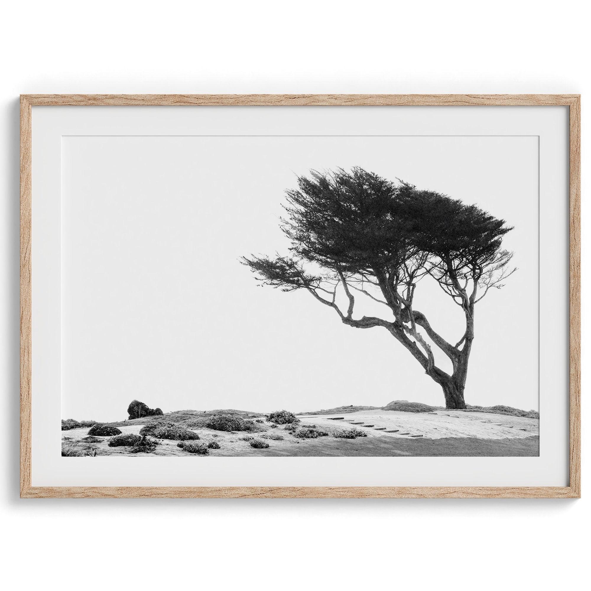 Black and white coastal print: A lone, wind-bent tree stands strong on a dramatic cliff. Weathered rocks and a white sky hint at the power of the unseen ocean