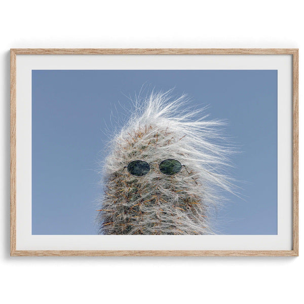 Playful fine art photography print of a cactus sporting groovy sunglasses, channeling its inner 1970s wild child