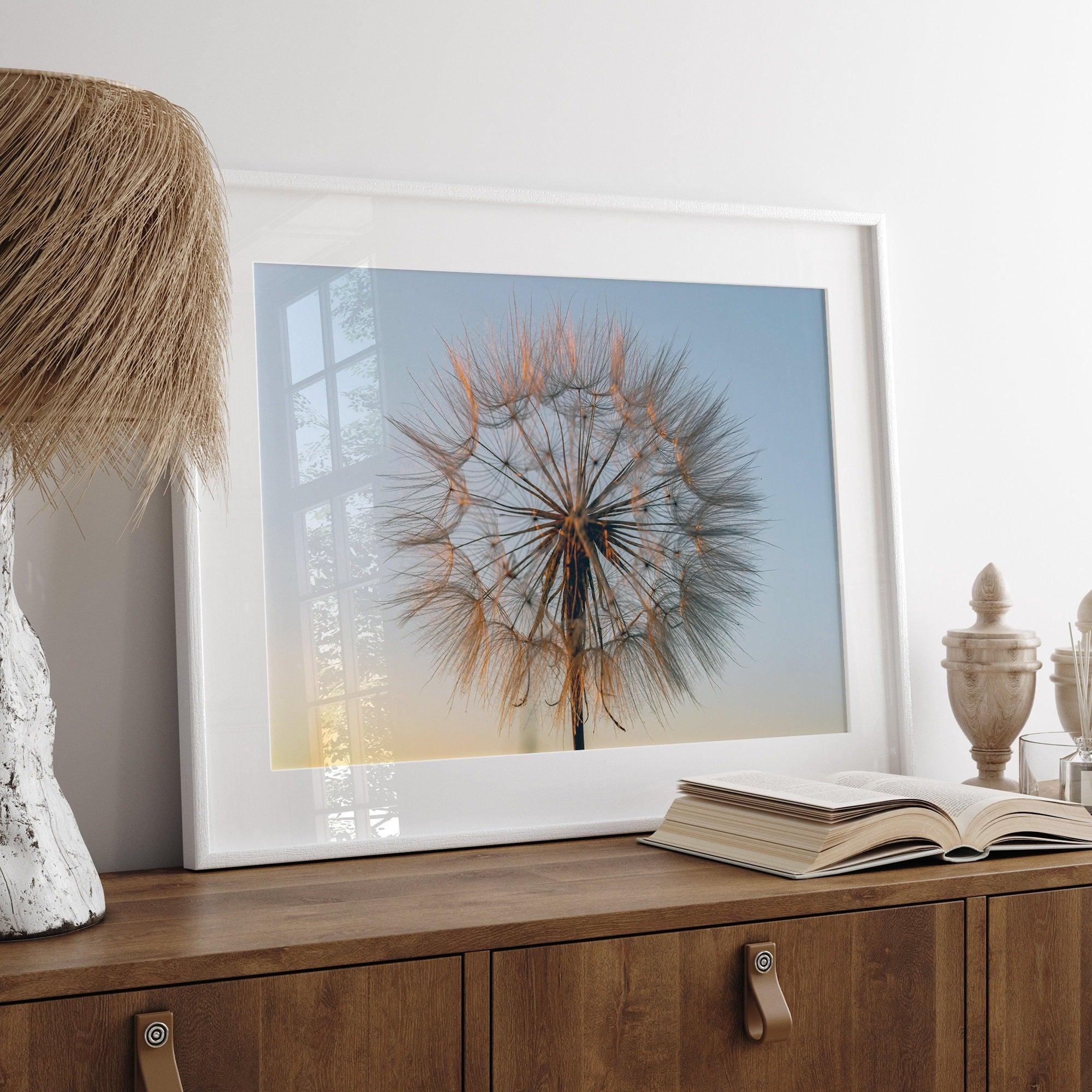 Landscape photography: A single dandelion bathed in the golden light of sunset, symbolizing the ephemeral beauty of nature's transformation.