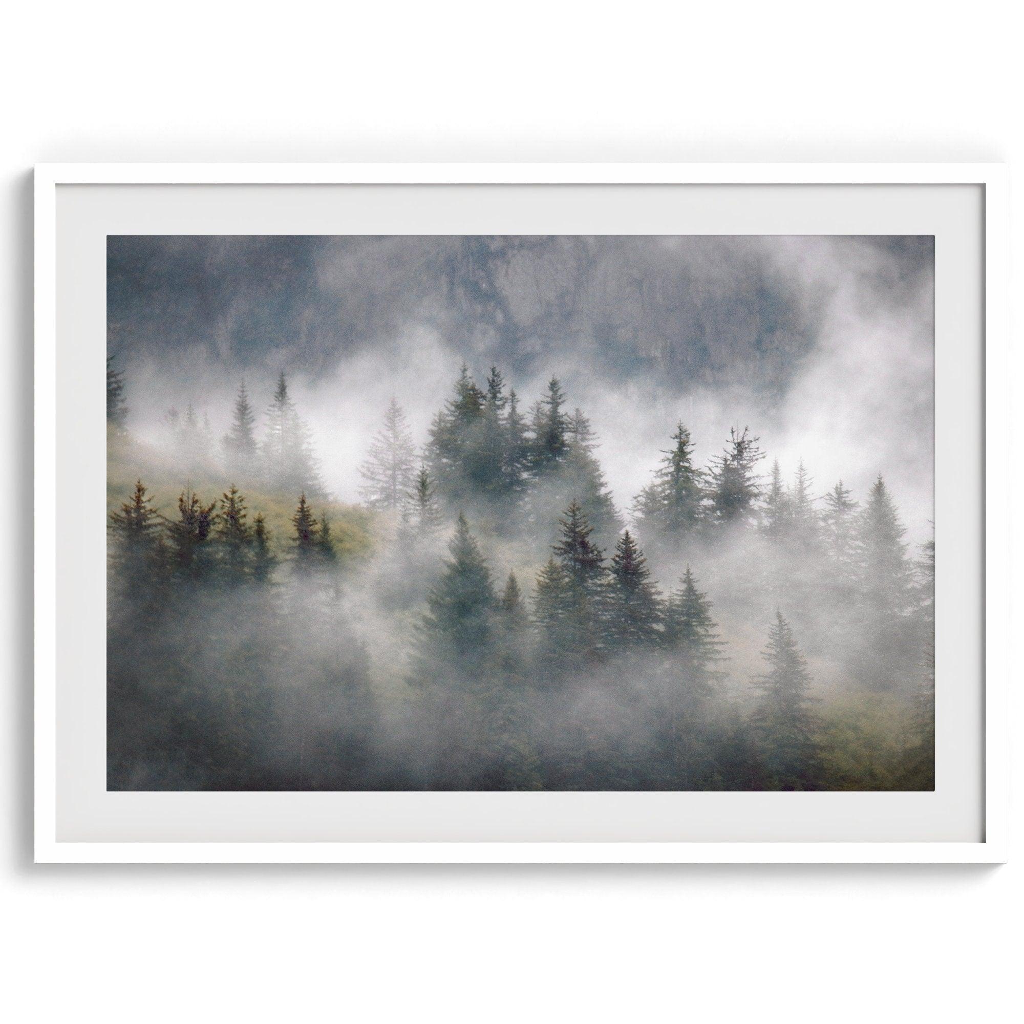 Fine art photography of a misty forest in Alaska, with the tops of trees on a mountain shrouded in white dreamlike fog.