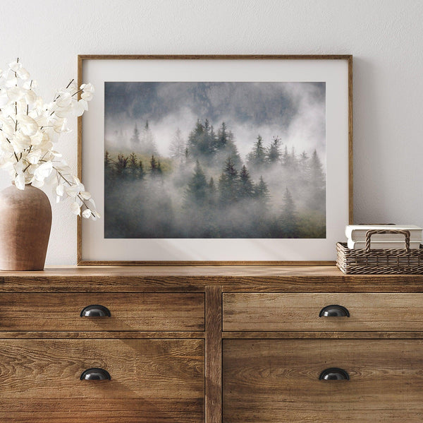 Fine art photography of a misty forest in Alaska, with the tops of trees on a mountain shrouded in white dreamlike fog.