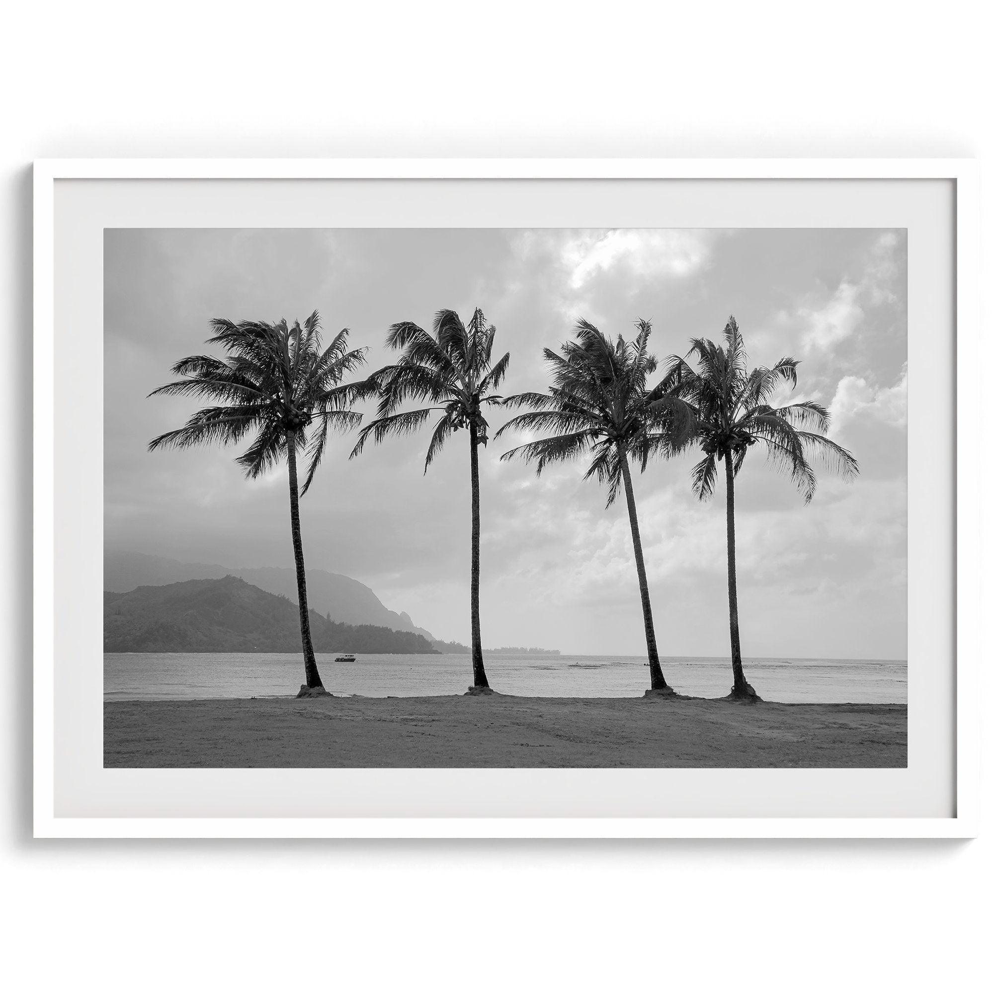 Black and white photo of Kauai beach with four palm trees, calm ocean waves, and shaded island mountains in the distance