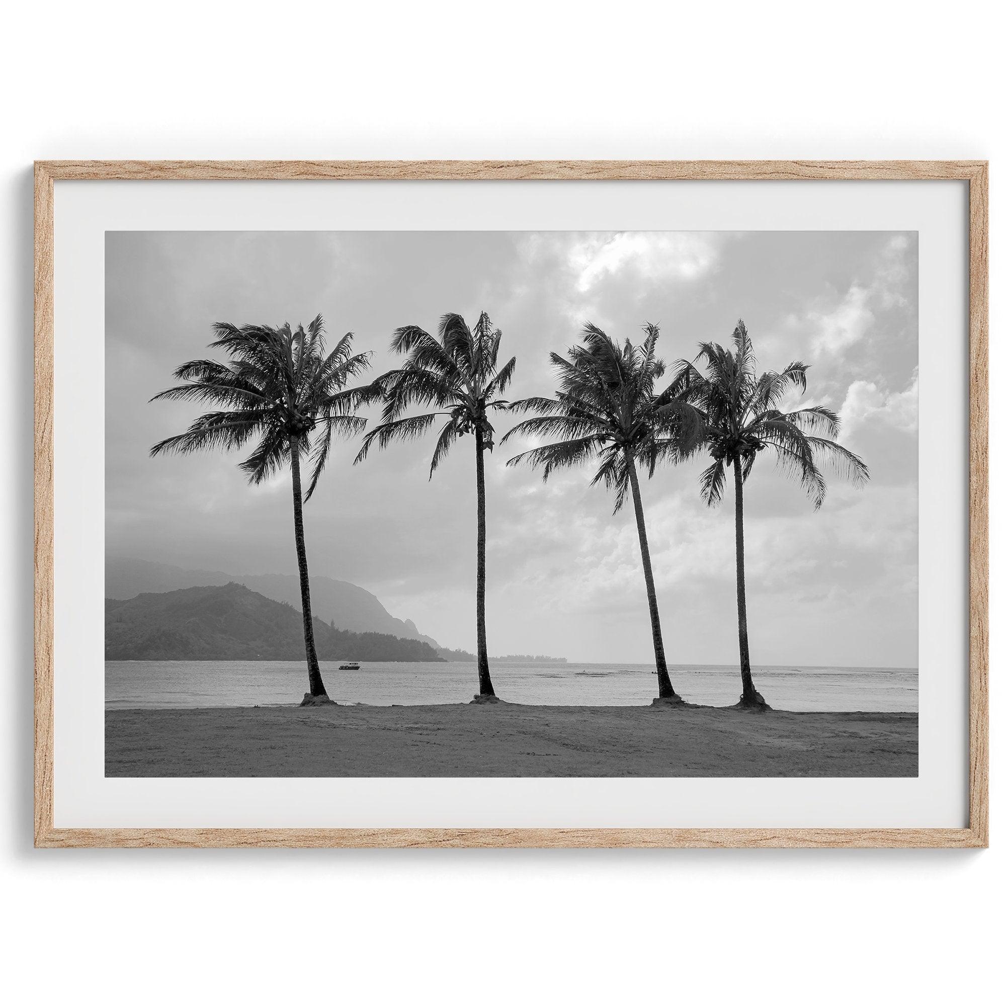 Black and white photo of Kauai beach with four palm trees, calm ocean waves, and shaded island mountains in the distance