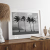 Black and white photo of Kauai beach with four palm trees, calm ocean waves, and shaded island mountains in the distance