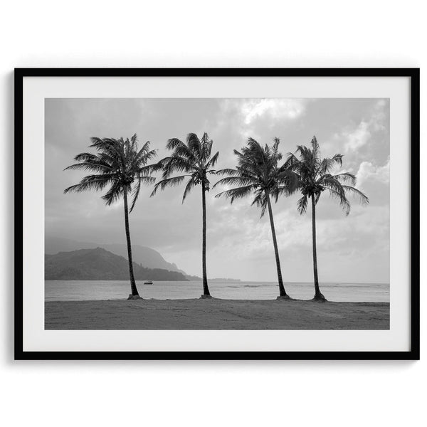 Black and white photo of Kauai beach with four palm trees, calm ocean waves, and shaded island mountains in the distance