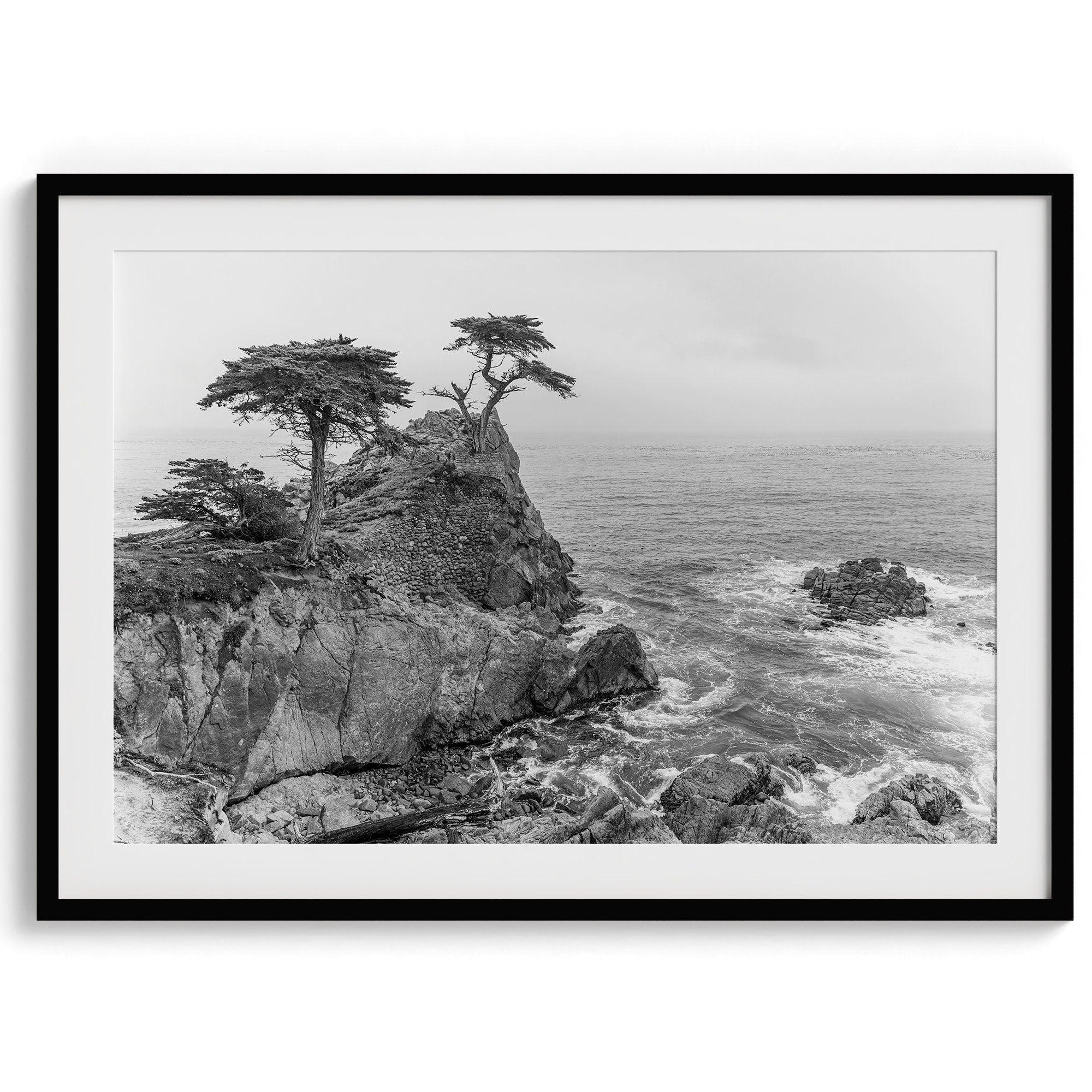 Black and white photo of Lone Cypress on a cliffside along 17-Mile Drive near Monterey, California, with waves crashing against rocks below.