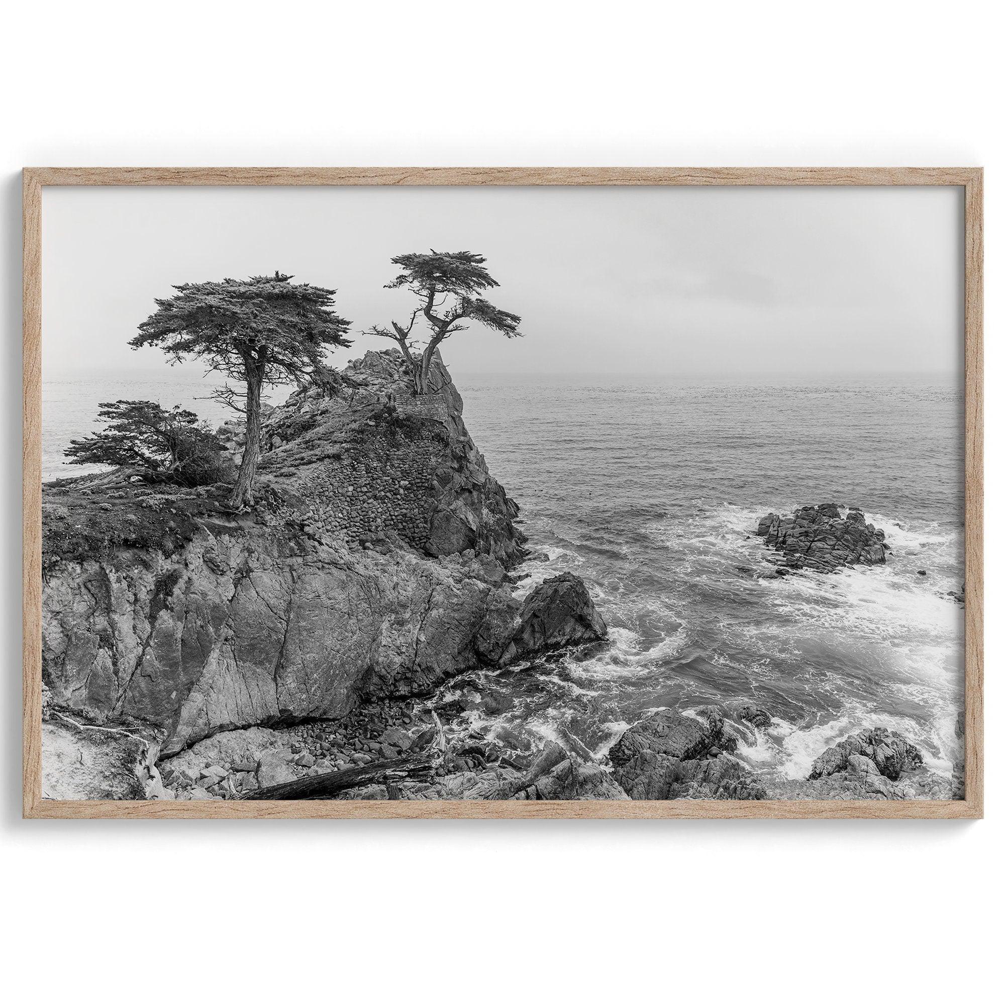 Black and white photo of Lone Cypress on a cliffside along 17-Mile Drive near Monterey, California, with waves crashing against rocks below.