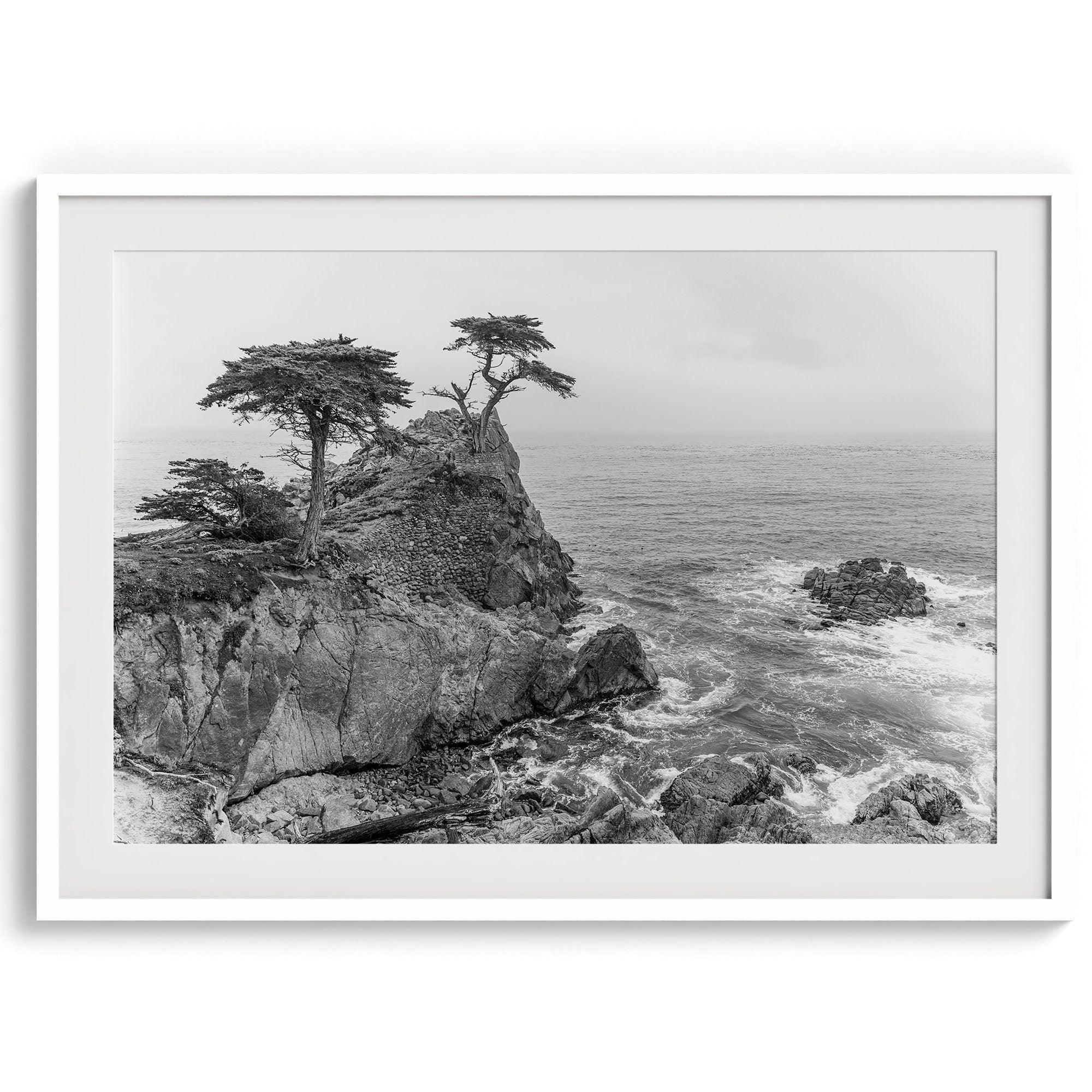 Black and white photo of Lone Cypress on a cliffside along 17-Mile Drive near Monterey, California, with waves crashing against rocks below.