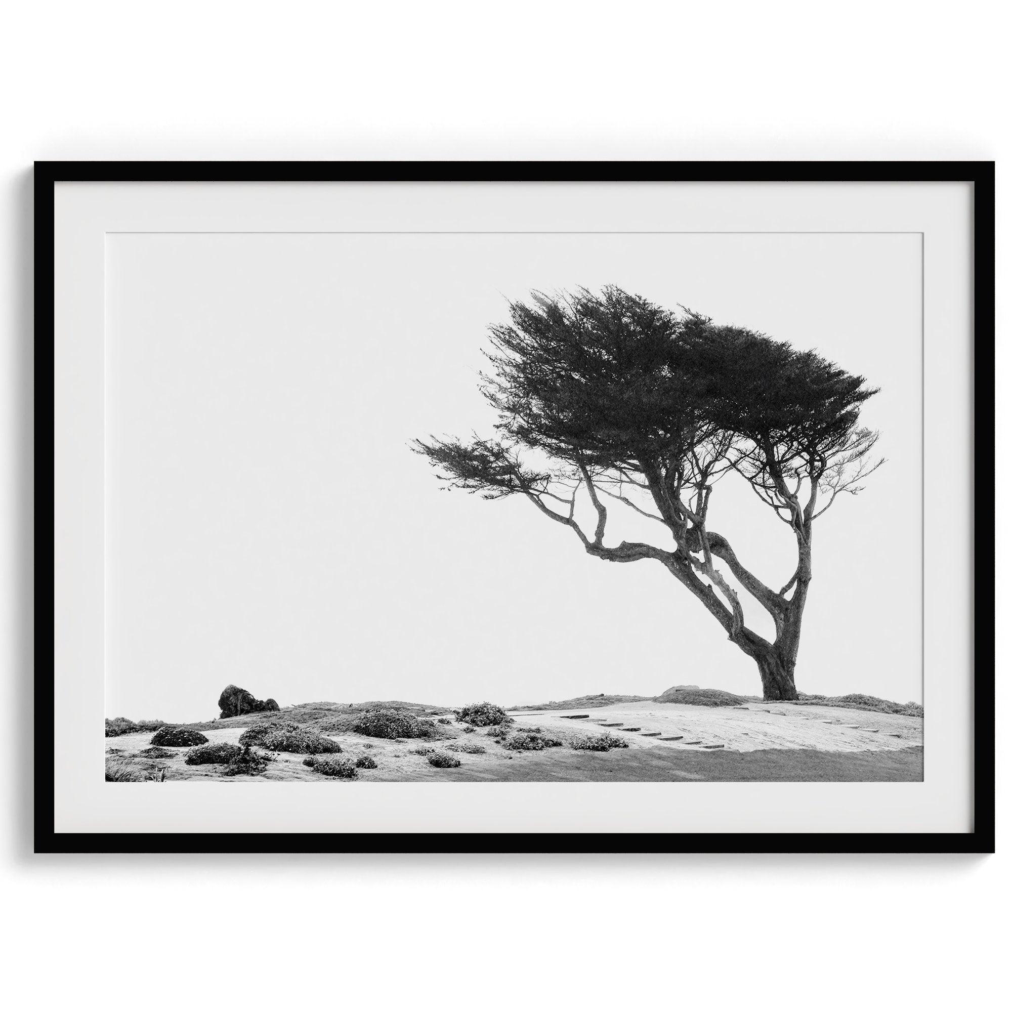 Black and white coastal print: A lone, wind-bent tree stands strong on a dramatic cliff. Weathered rocks and a white sky hint at the power of the unseen ocean