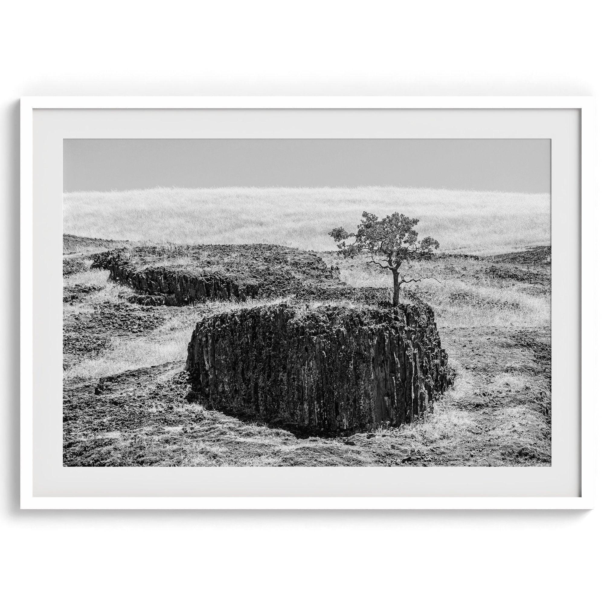 Black and white fine art photography print of a lone tree silhouetted against the sky. The tree clings to a dramatic table rock formation in the rugged landscape of Northern California.