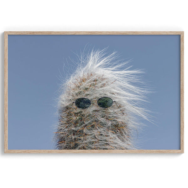 Playful fine art photography print of a cactus sporting groovy sunglasses, channeling its inner 1970s wild child