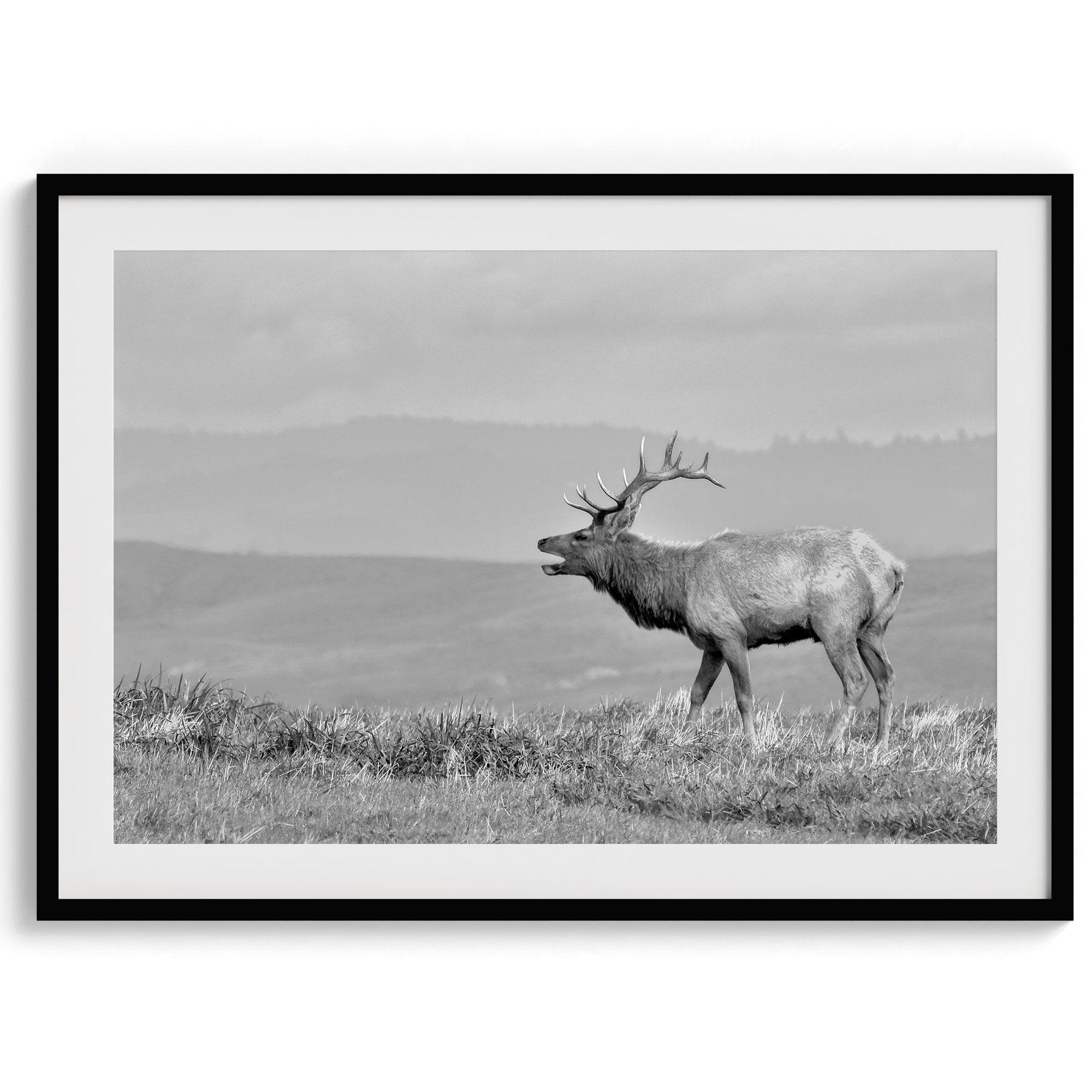 Black and white photo of a majestic elk standing on a hilltop, with rolling hills layered in the background.