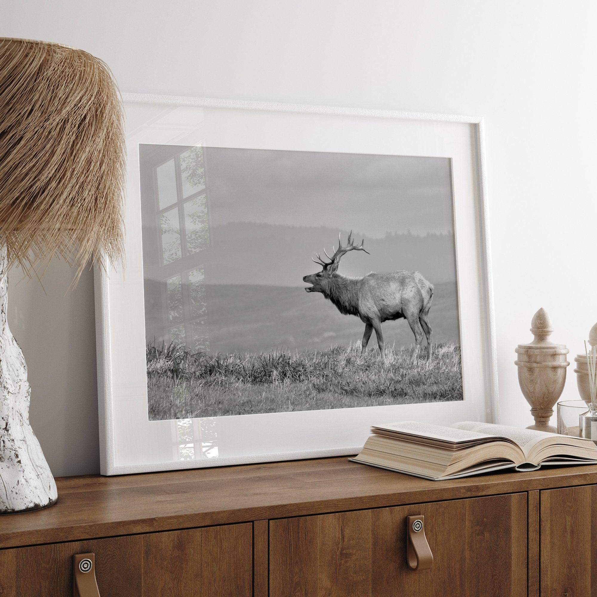 Black and white photo of a majestic elk standing on a hilltop, with rolling hills layered in the background.