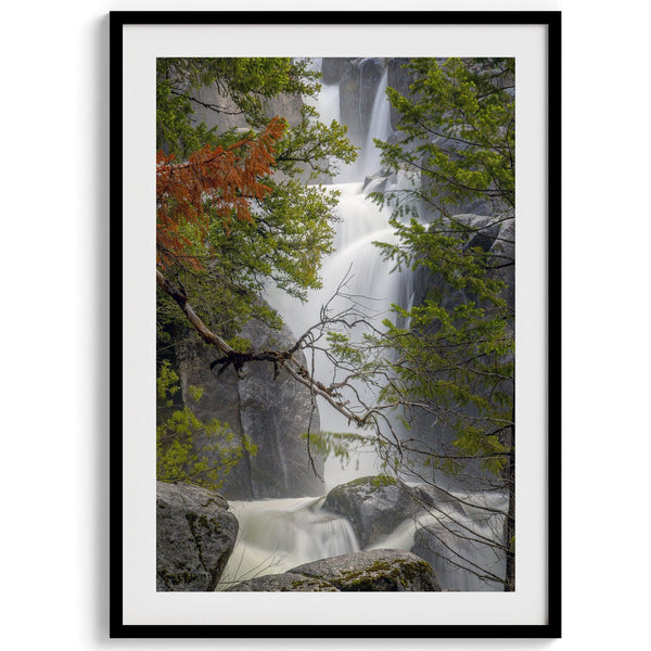 Black and white minimalist fine art print of Yosemite National Park. Sunlight filters through green leaves, revealing a hint of a cascading waterfall.