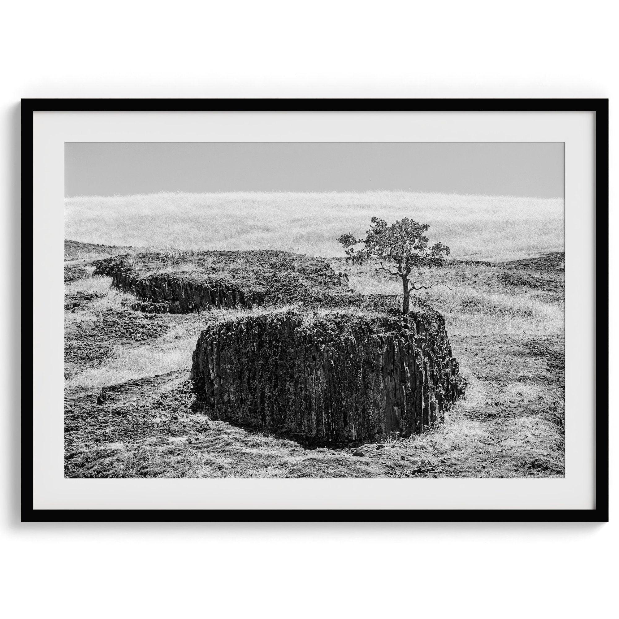 Black and white fine art photography print of a lone tree silhouetted against the sky. The tree clings to a dramatic table rock formation in the rugged landscape of Northern California.