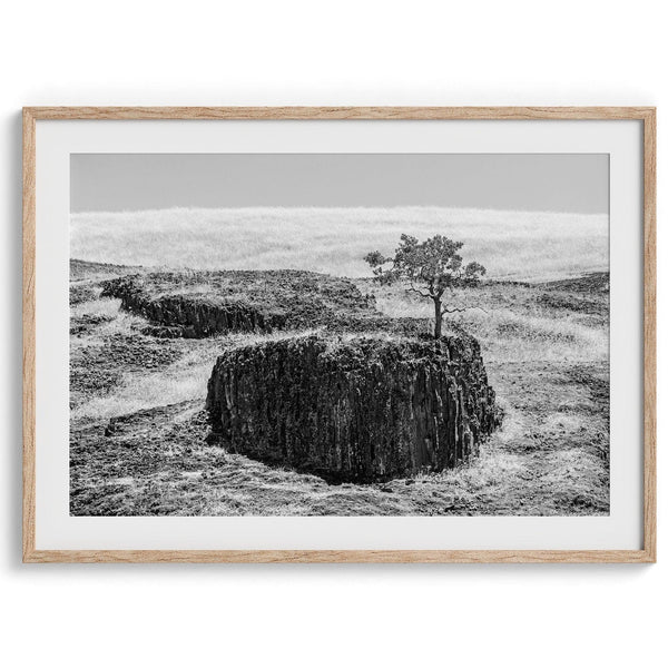 Black and white fine art photography print of a lone tree silhouetted against the sky. The tree clings to a dramatic table rock formation in the rugged landscape of Northern California.
