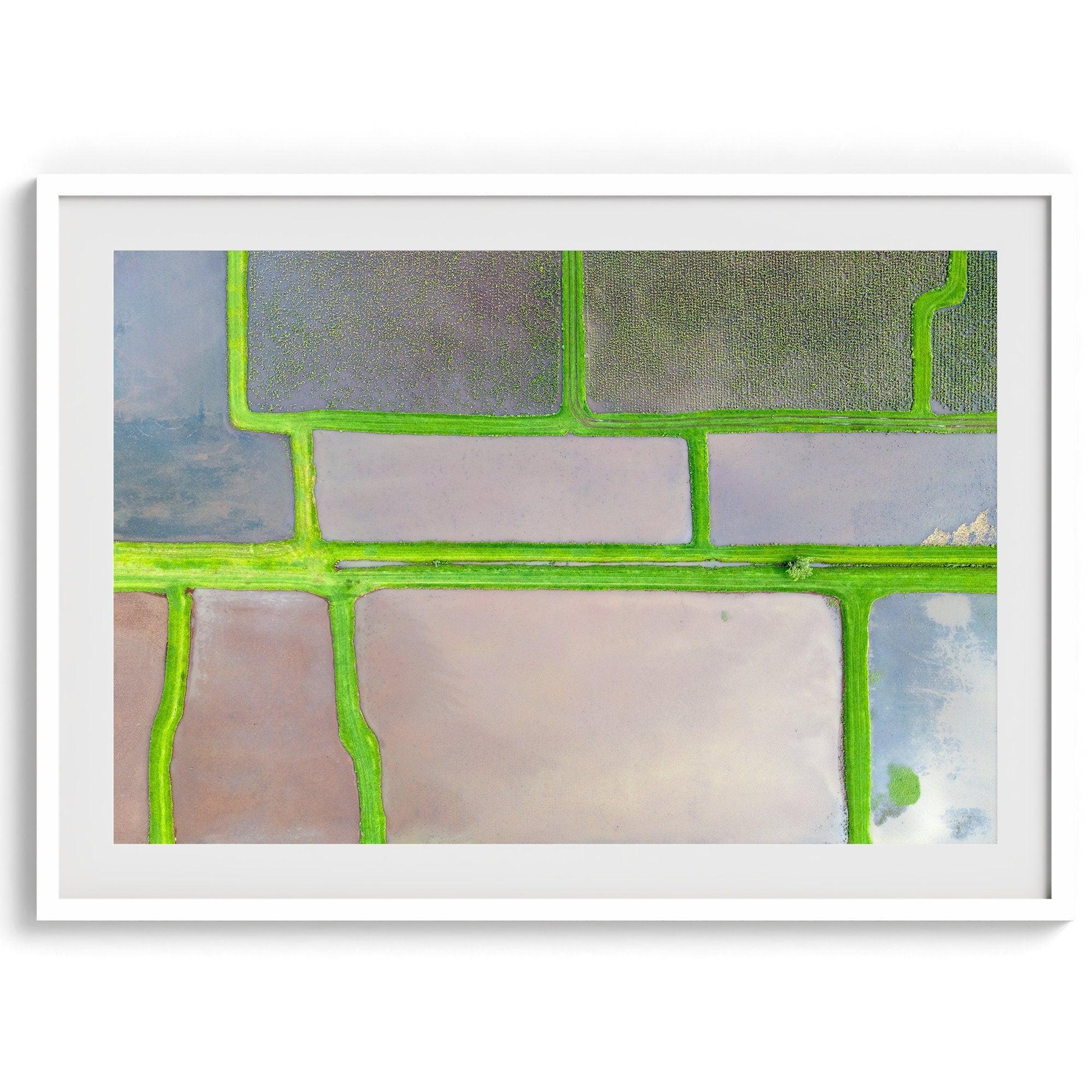 Aerial view of colorful taro field patchwork in Hanalei, Hawaii. This captivating fine art print offers a unique modern perspective, perfect for sparking conversation and adding a touch of nature's beauty to your home or office.