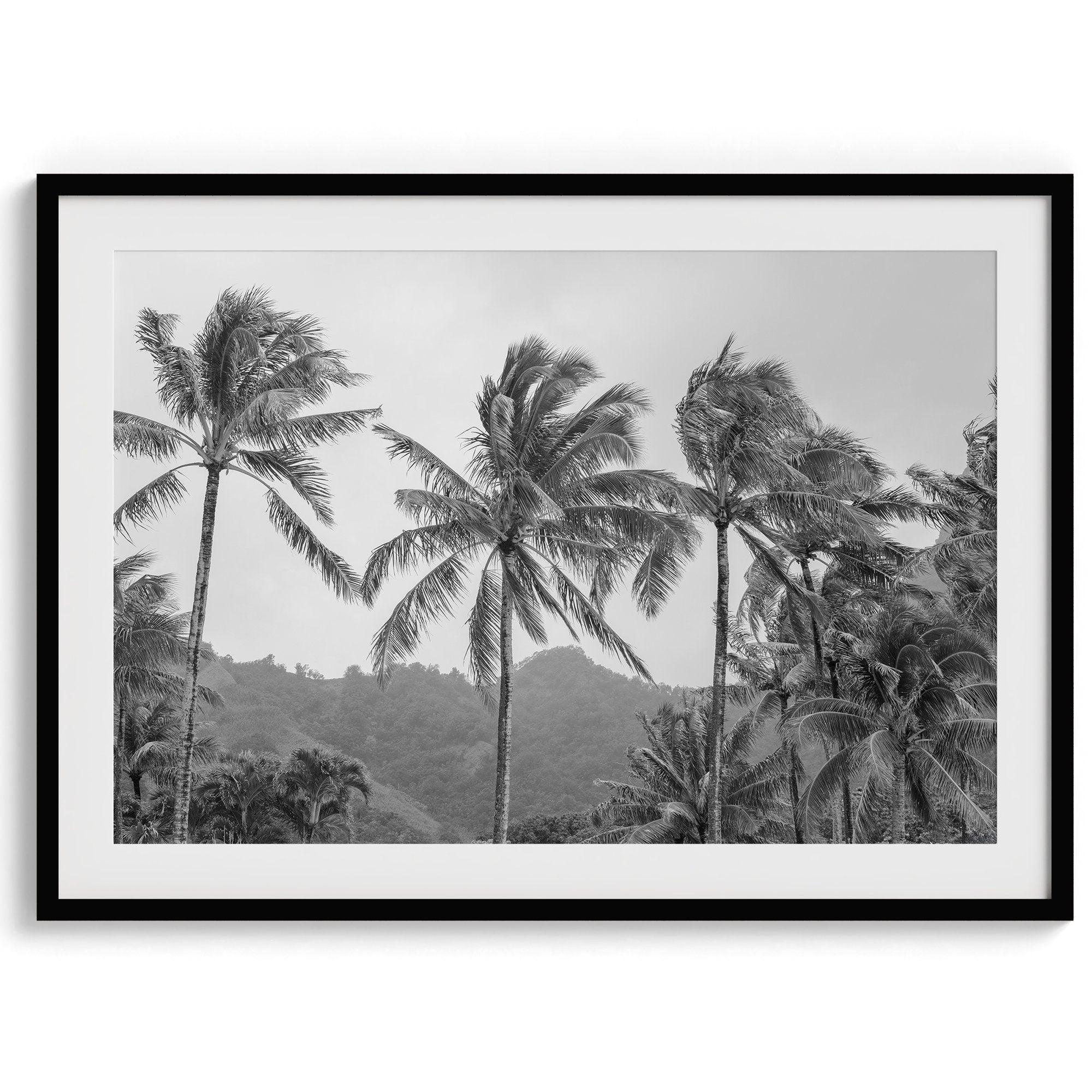 Black and white fine art photography print of towering palm trees silhouetted against tropical mountains. The scene captures the dramatic beauty of Tunnels Beach, Kauai, Hawaii.